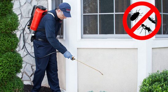 Çatalca Kene İlaçlama böcek ilaçlama ve haşere kontrolü — ilaclama-tr.com